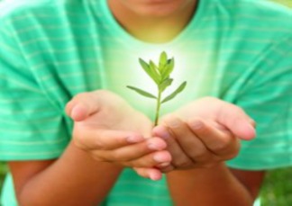 Child holding a plant in hands